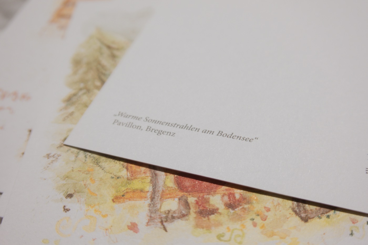 klein&oho Postkartenset 7